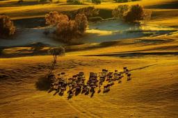 内蒙古草原高清图片11