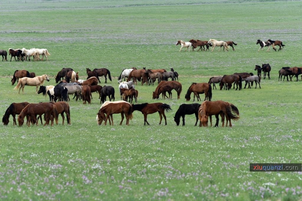 内蒙古草原高清图片4
