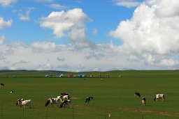 内蒙古草原高清图片2