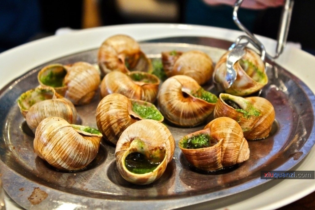 法国蜗牛菜高清图片1