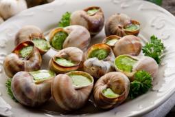 法国蜗牛菜高清图片2