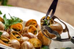 法国蜗牛菜高清图片7