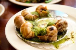 法国蜗牛菜图片8