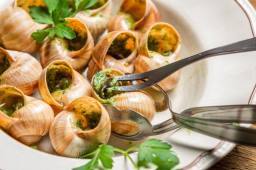 法国蜗牛菜高清图片3