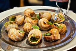 法国蜗牛菜
